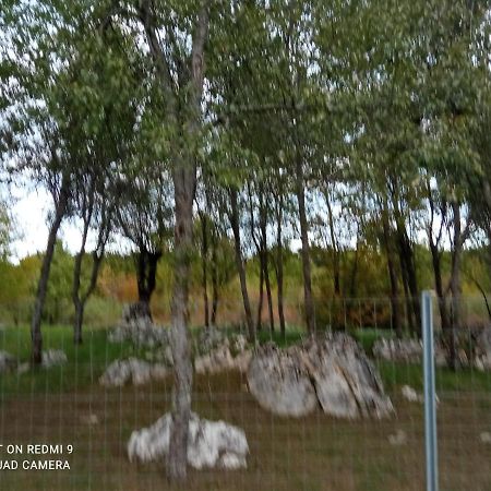 Apartman Deda Rakovica Extérieur photo