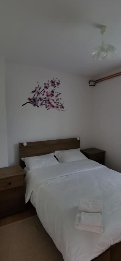 Apartman Deda Rakovica Extérieur photo