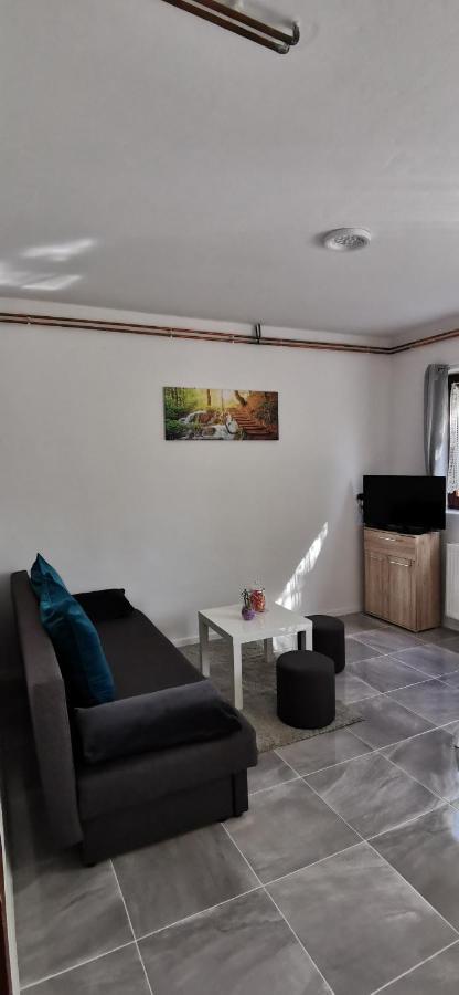 Apartman Deda Rakovica Extérieur photo