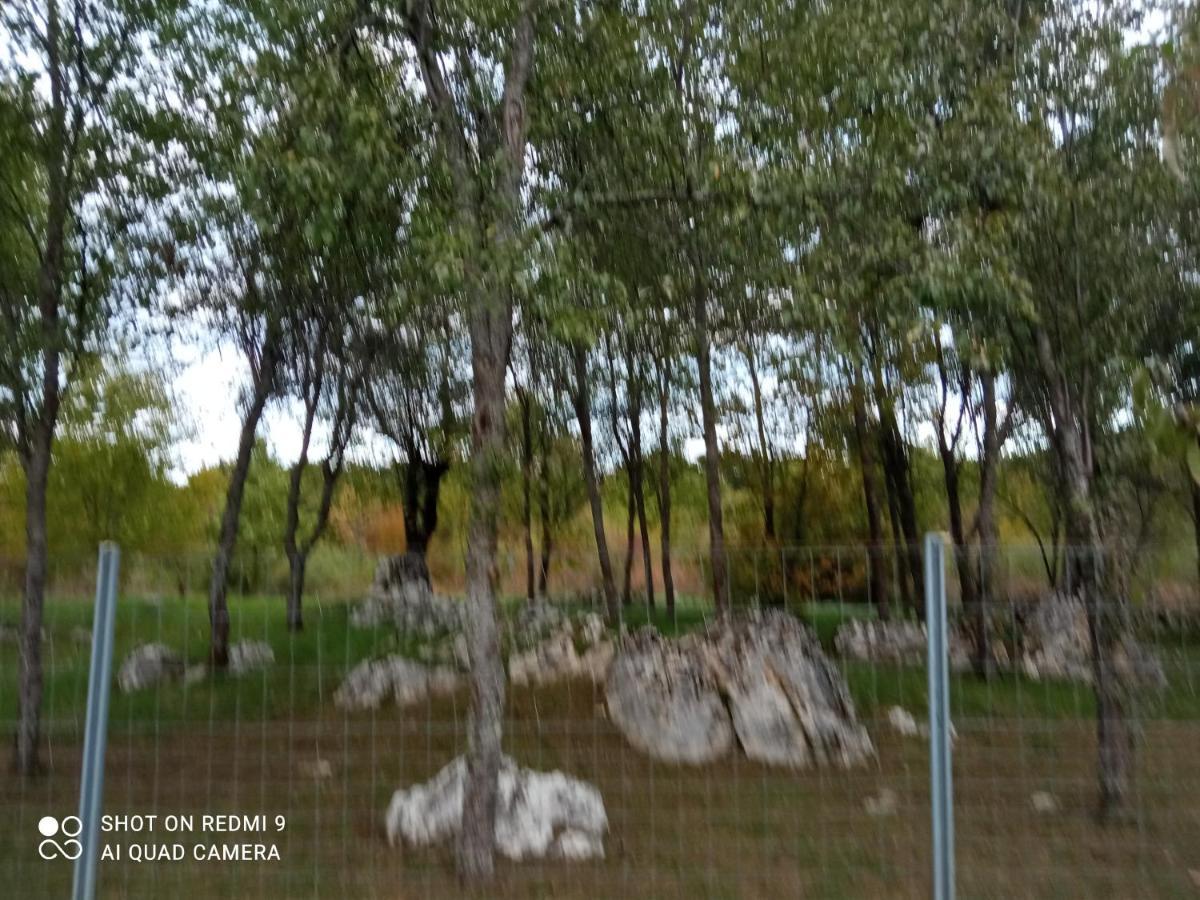 Apartman Deda Rakovica Extérieur photo